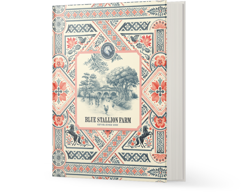 Blue Stallion Farm Book