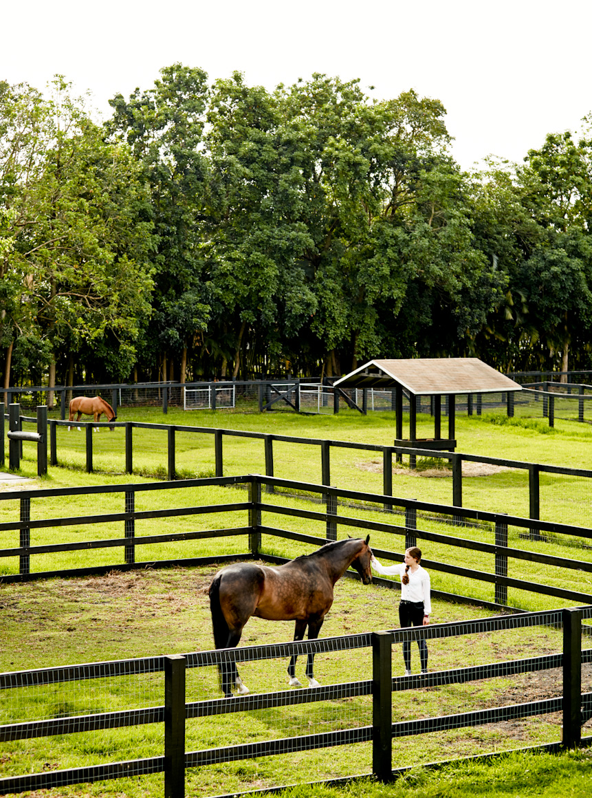 Приходи в конюшню. Конная ферма «лошади Дзержинский». Los Establos конюшня. Фазенда с лошадьми. Конная ферма Собербаш.
