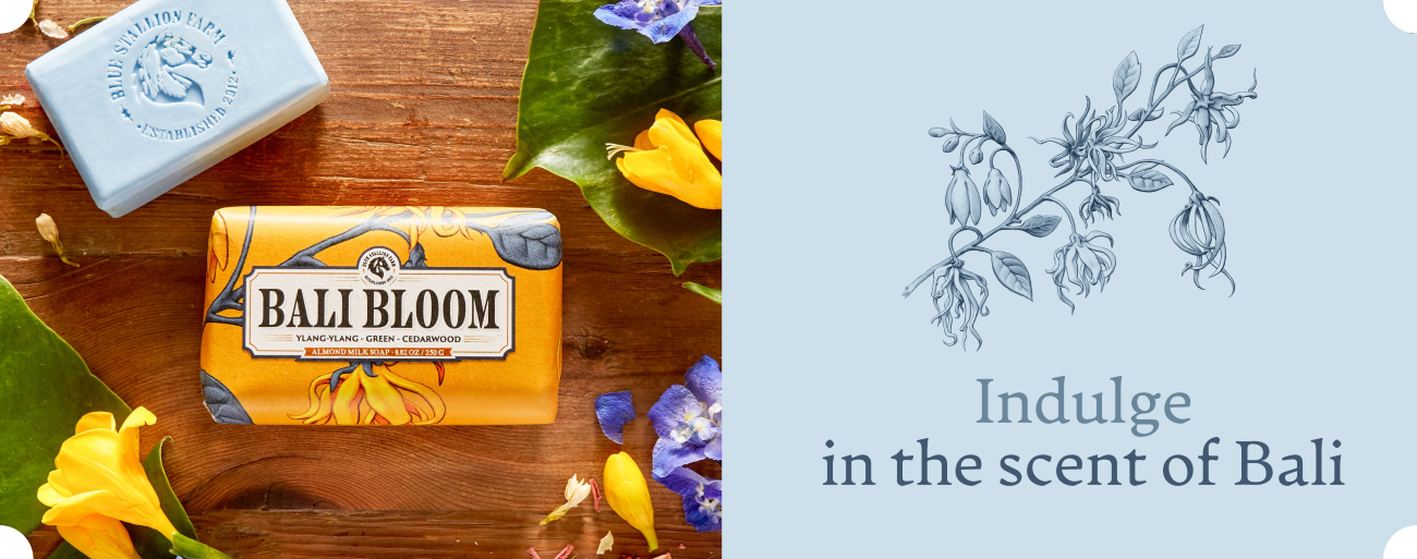 Banner desktop 3 - Bali Bloom