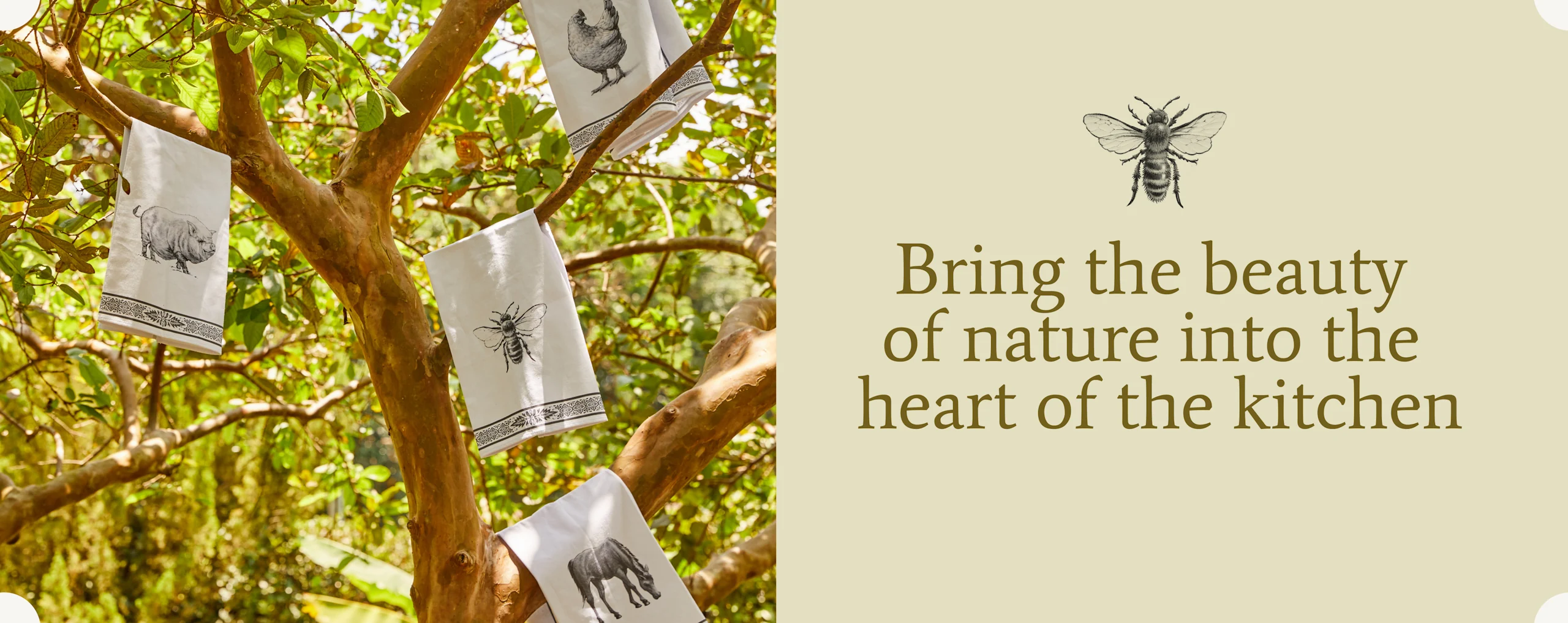 bring the beauty of nature into the heart of the kitchen
