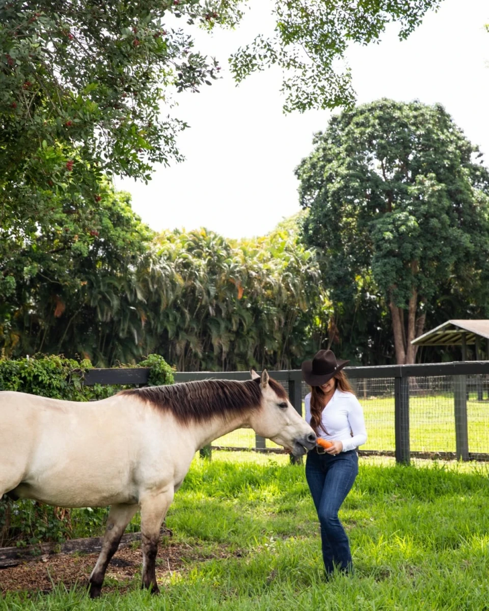 instagram gallery image