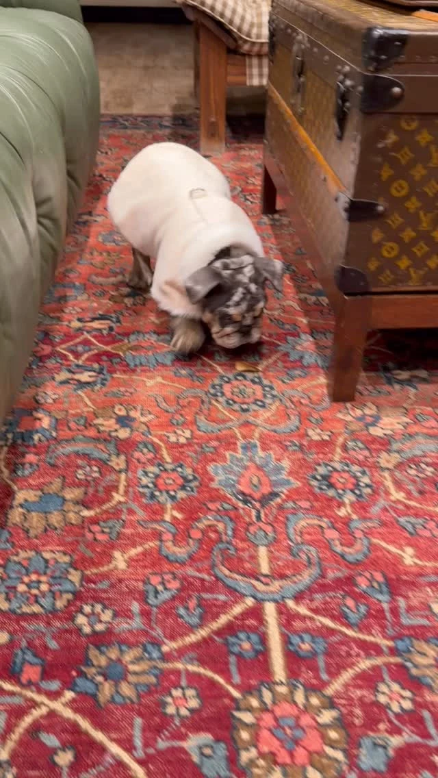 instagram gallery image