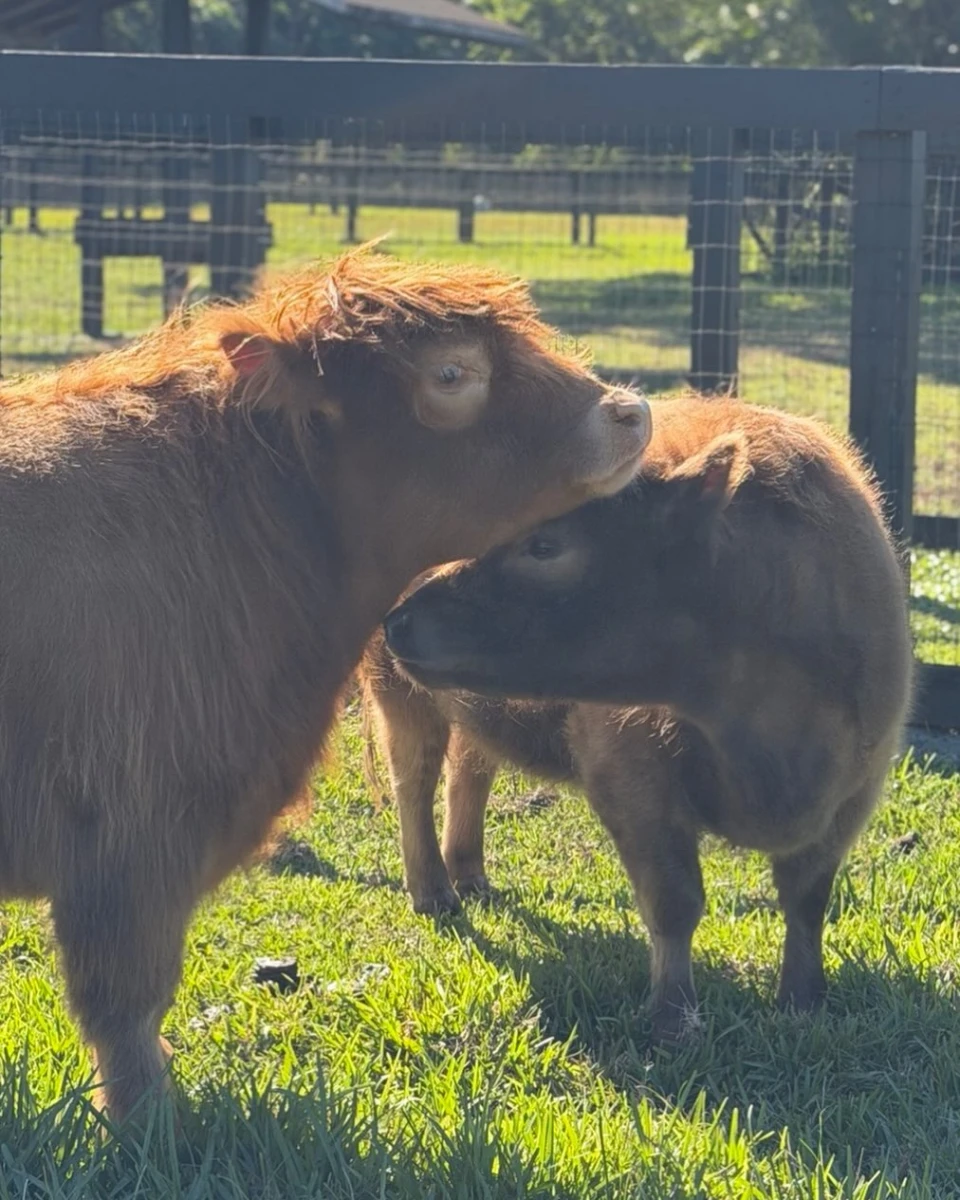 instagram gallery image