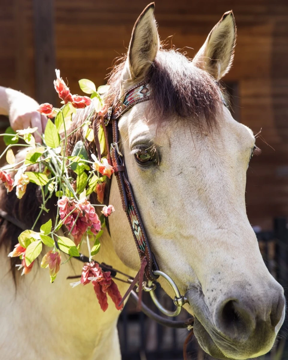 instagram gallery image