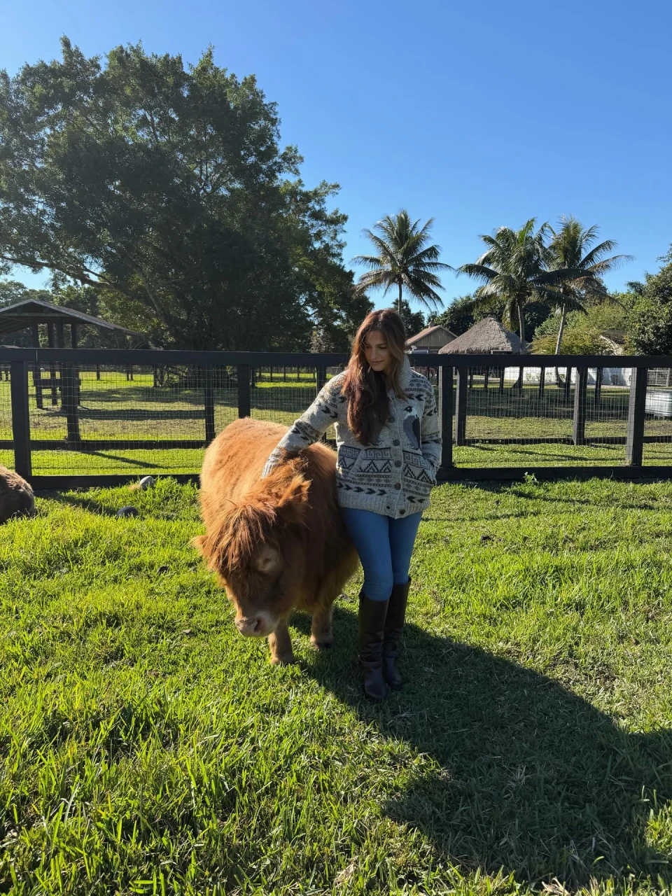 instagram gallery image