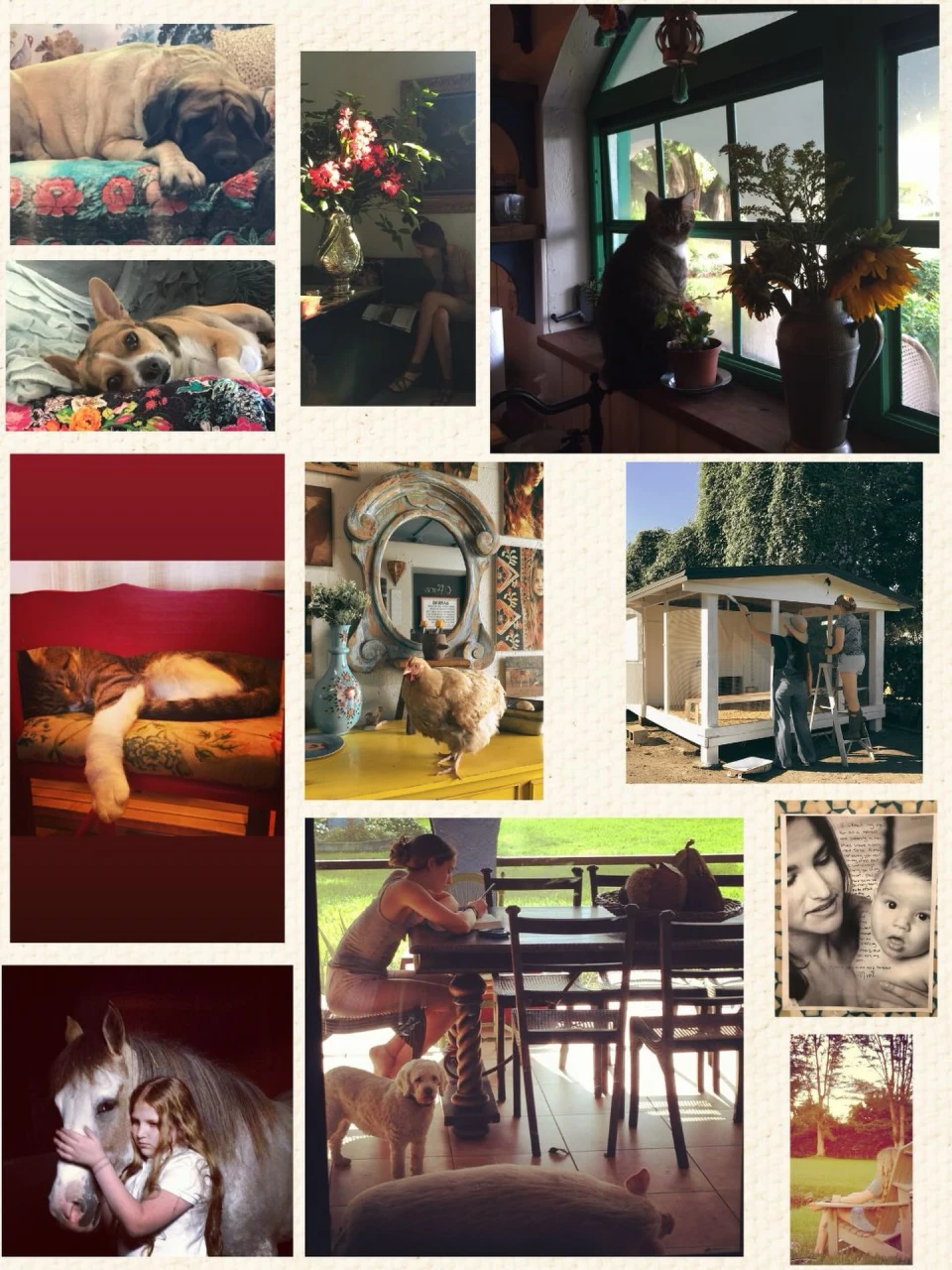 instagram gallery image