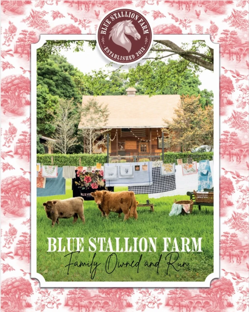 instagram gallery image