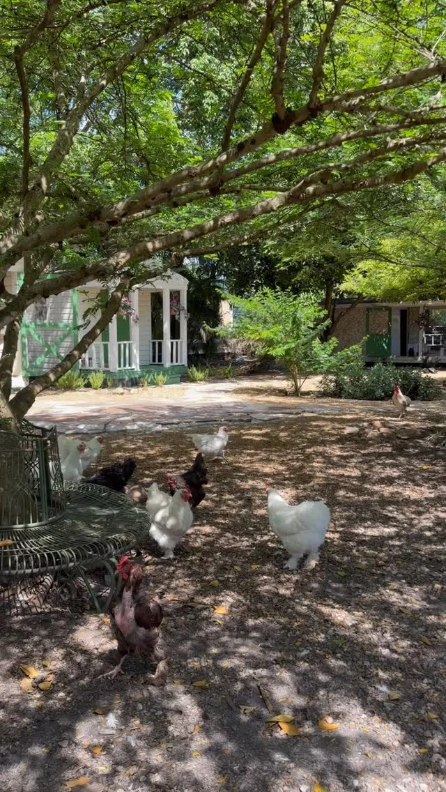 instagram gallery image