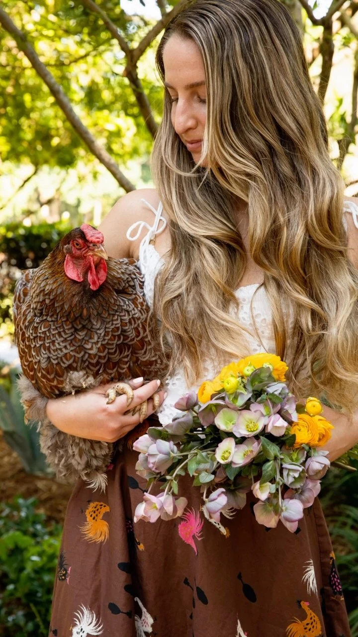 instagram gallery image
