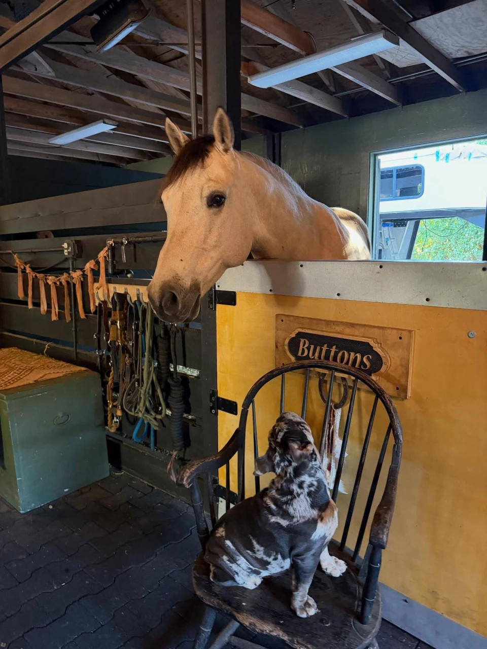 instagram gallery image