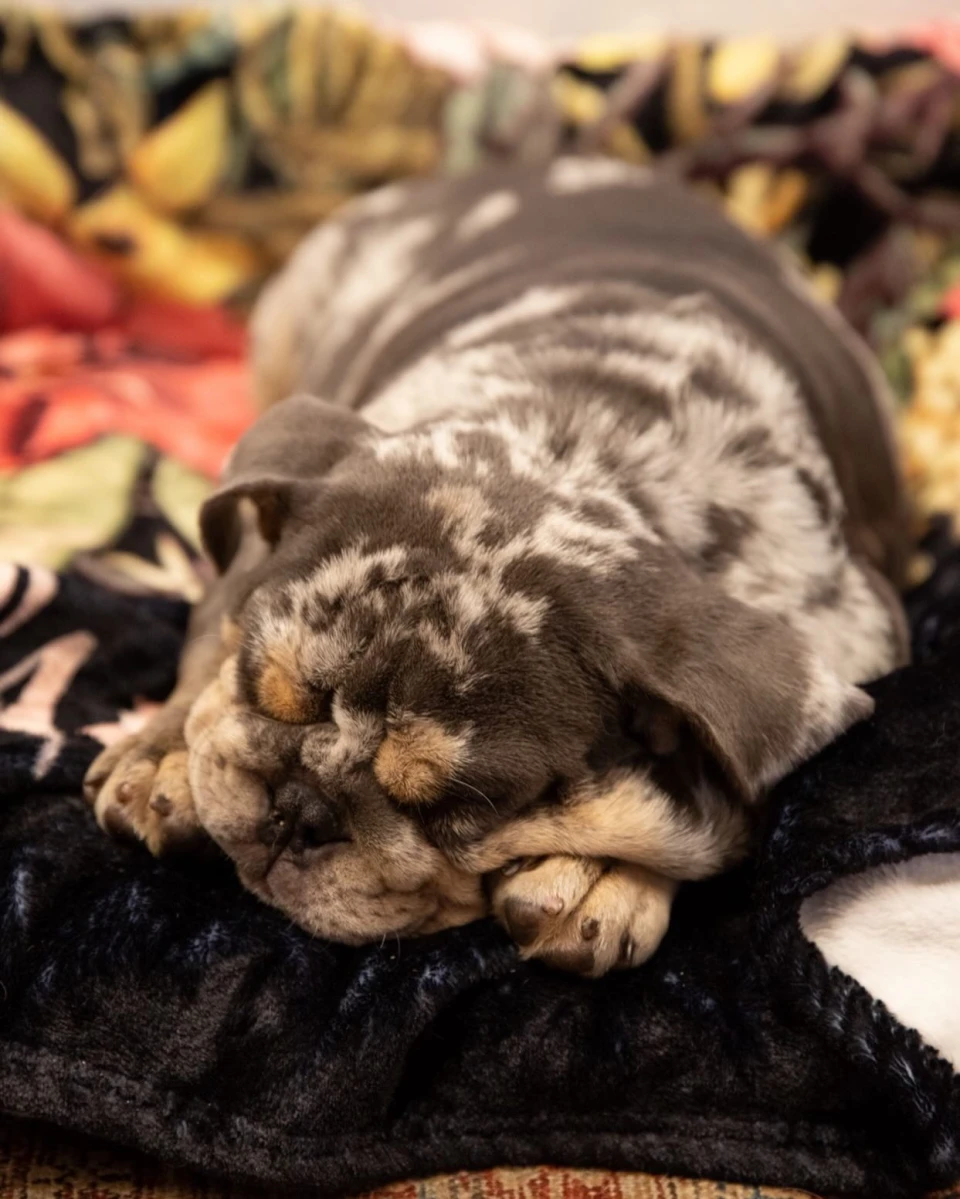 instagram gallery image