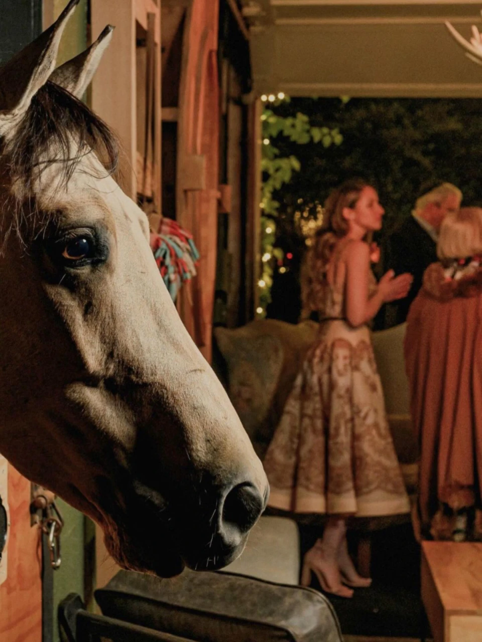 instagram gallery image