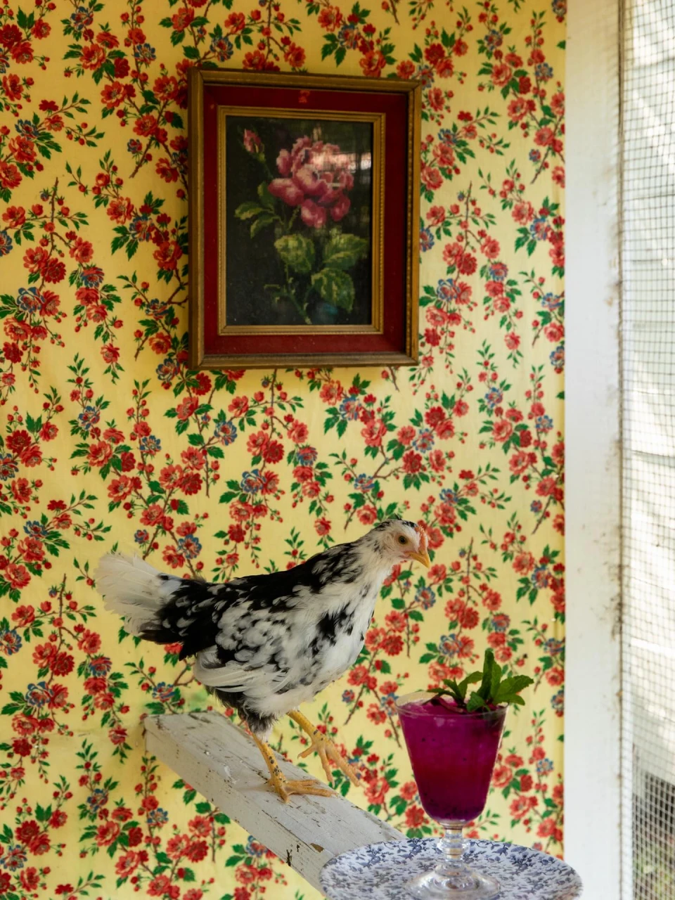 instagram gallery image