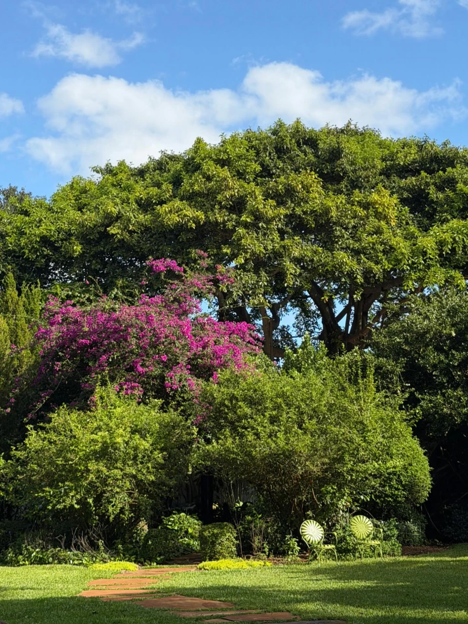 instagram gallery image