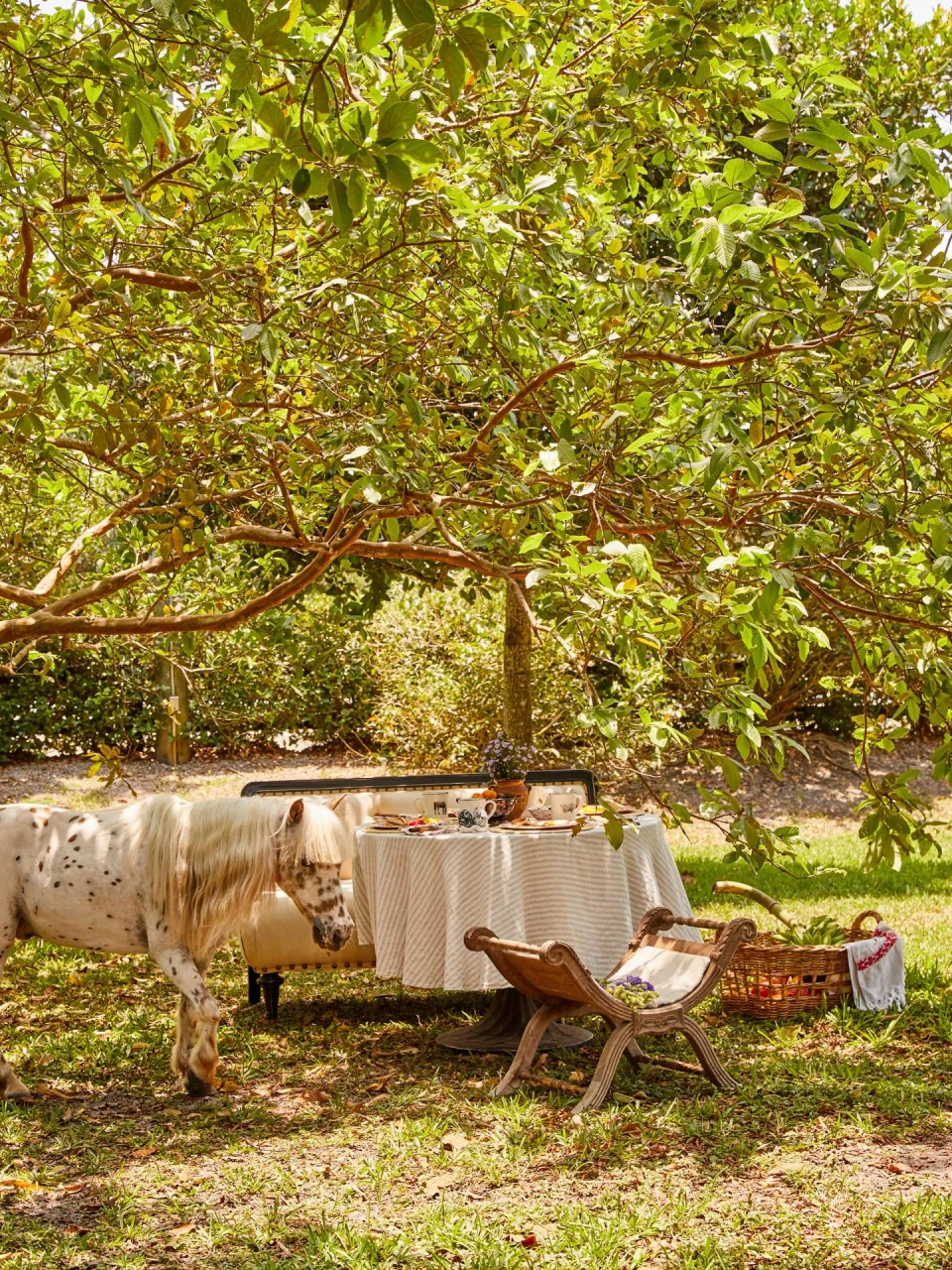 instagram gallery image