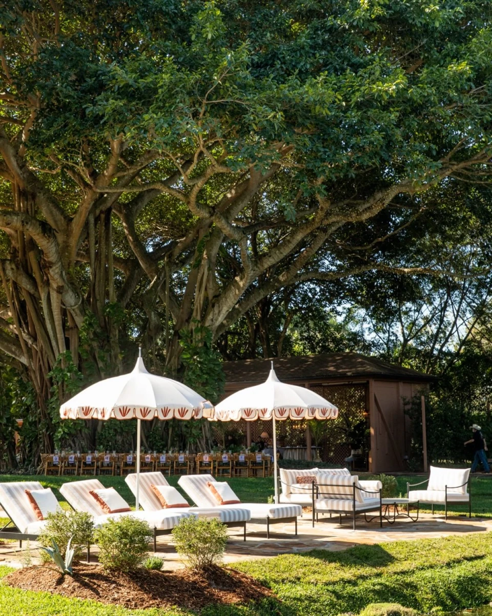 instagram gallery image