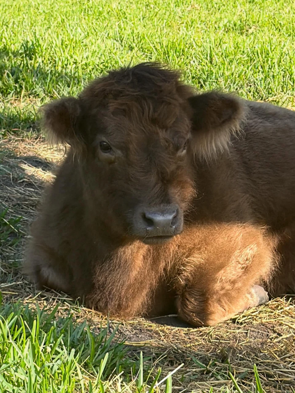 instagram gallery image