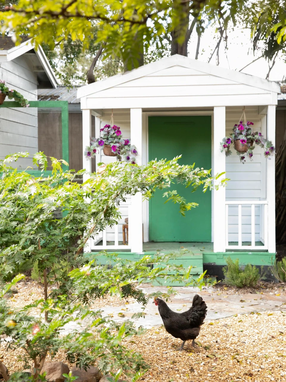 instagram gallery image