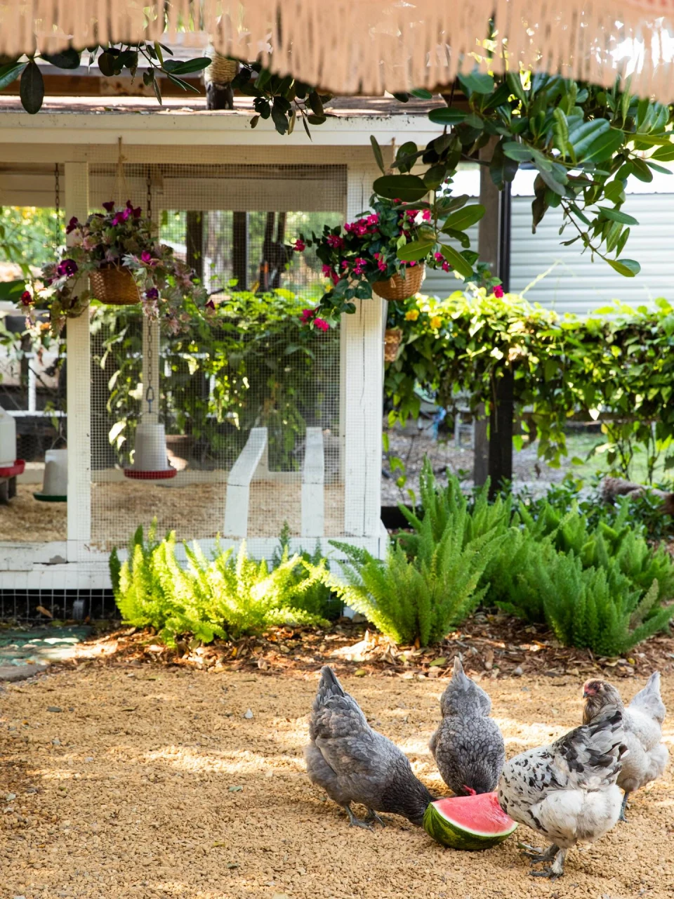 instagram gallery image