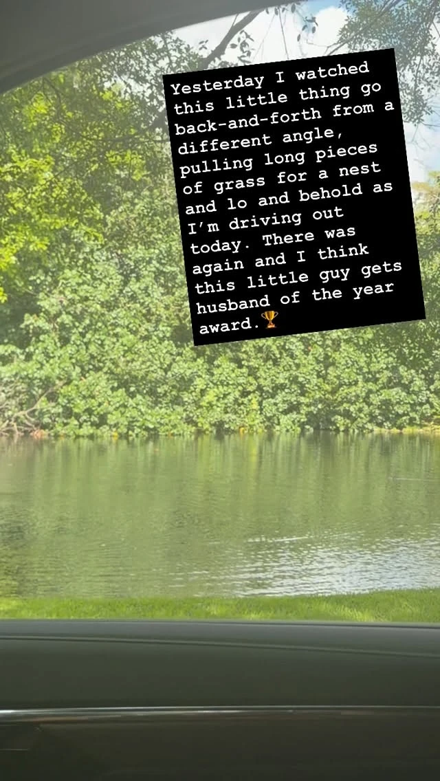 instagram gallery image