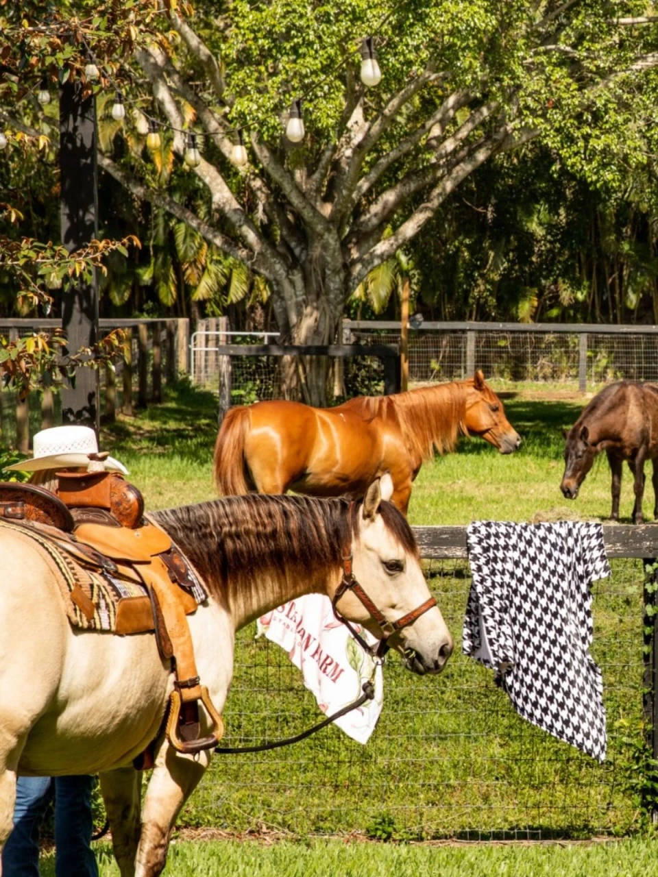 instagram gallery image