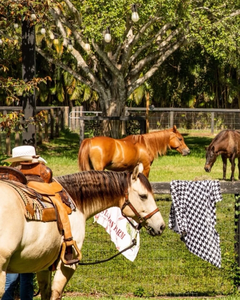 instagram gallery image