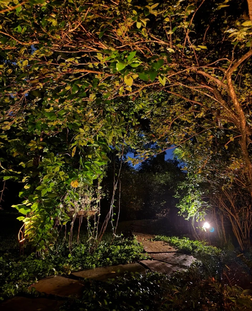 instagram gallery image