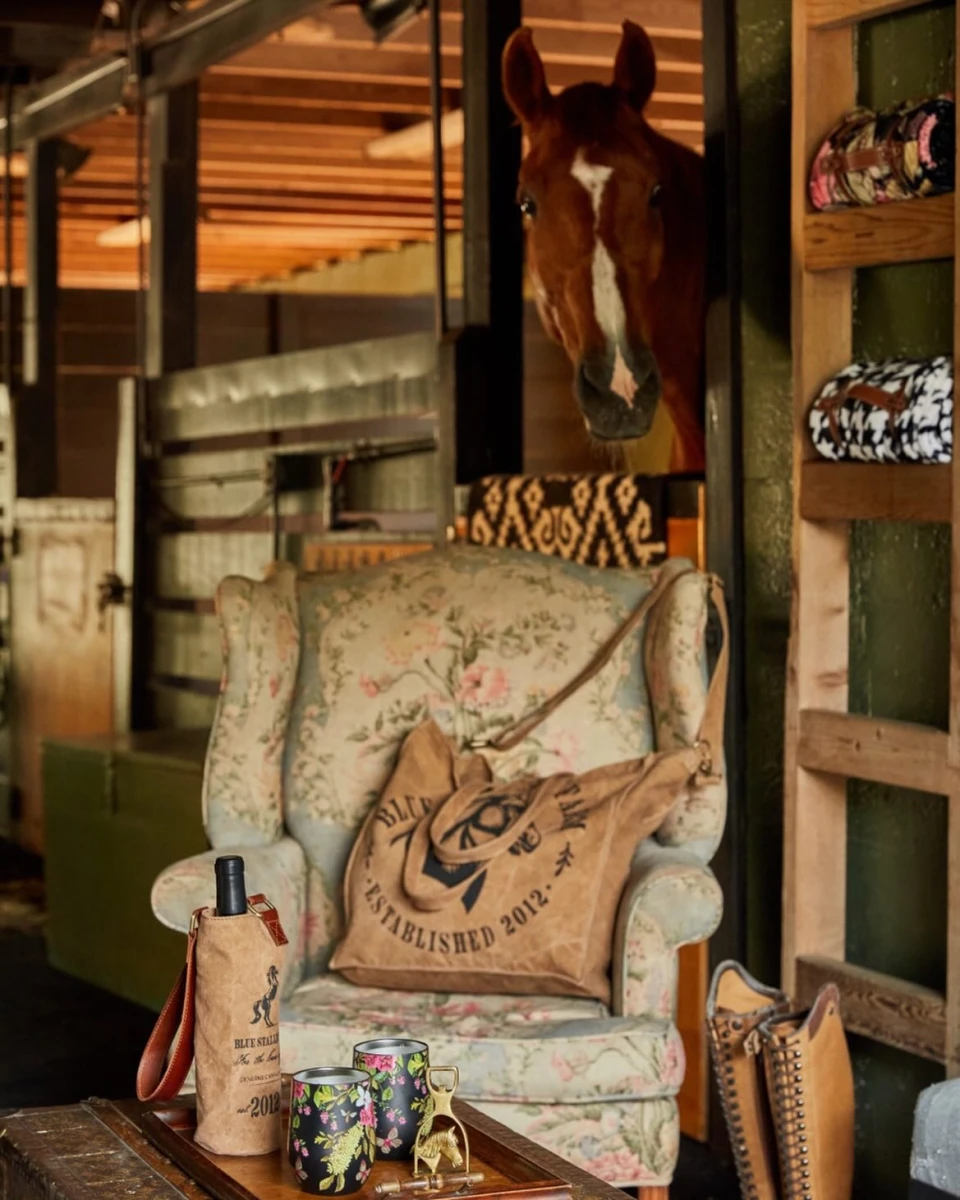 instagram gallery image