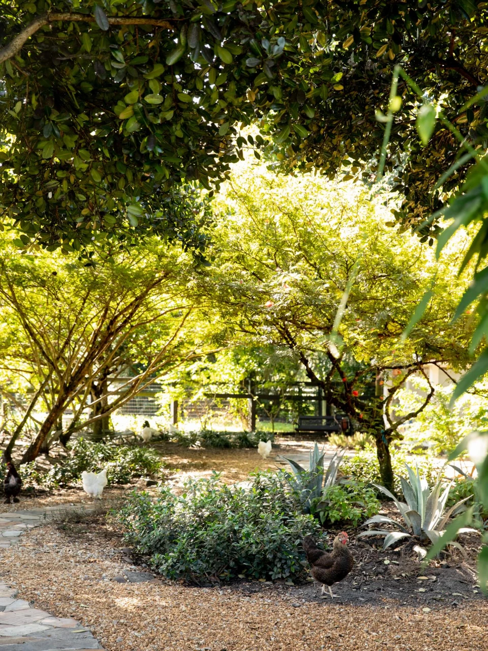 instagram gallery image