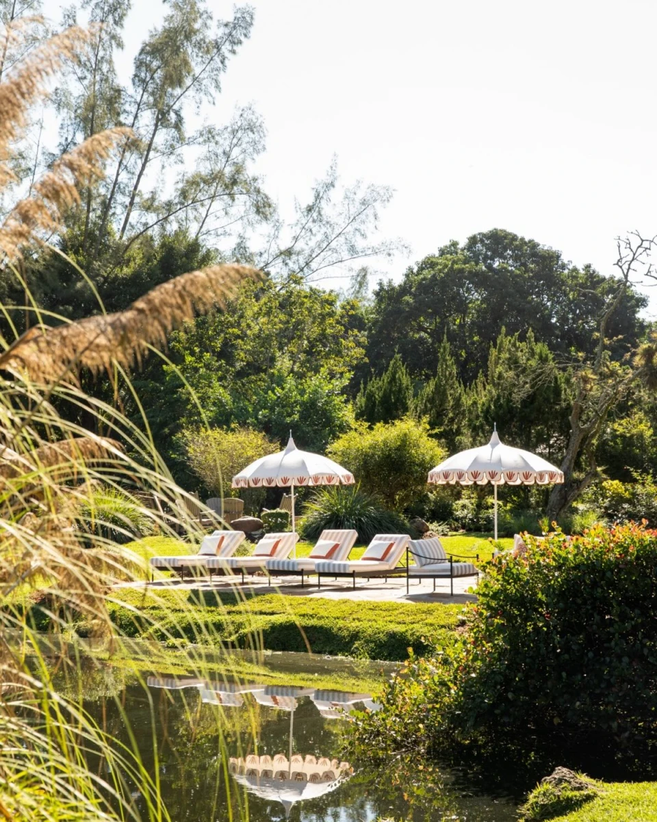 instagram gallery image