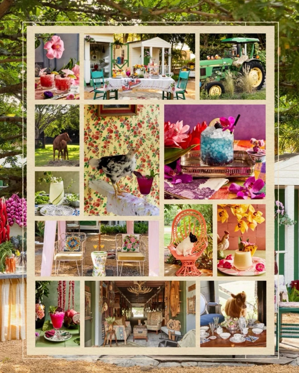 instagram gallery image