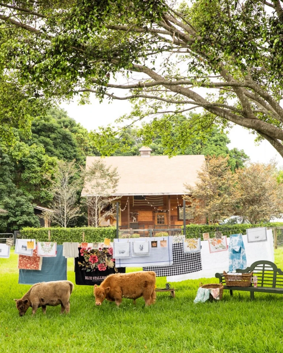 instagram gallery image