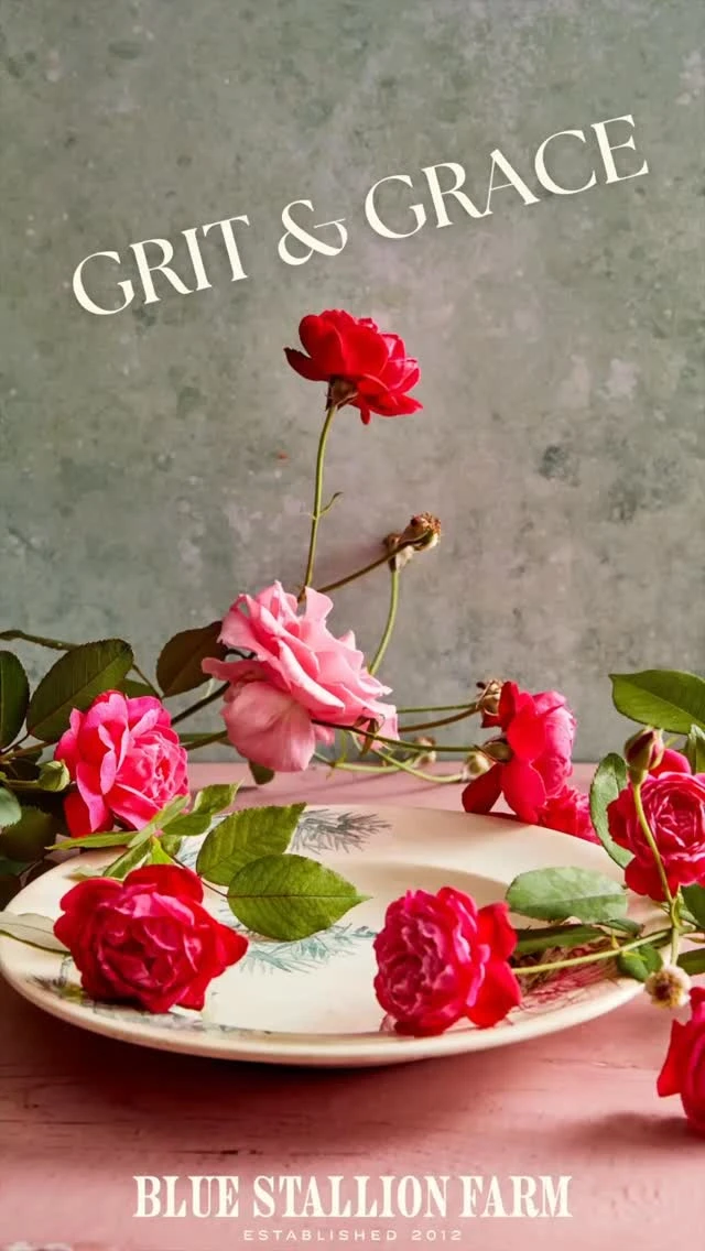 instagram gallery image