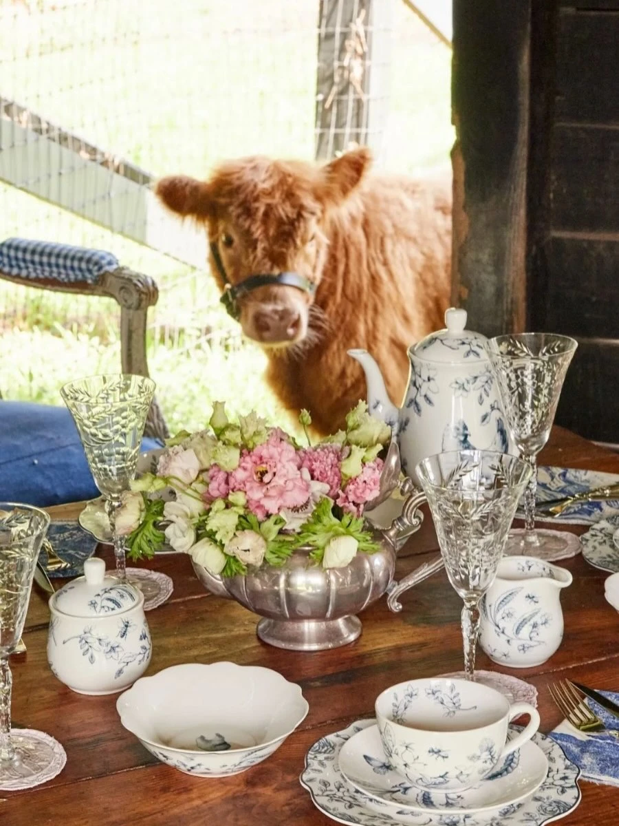 instagram gallery image