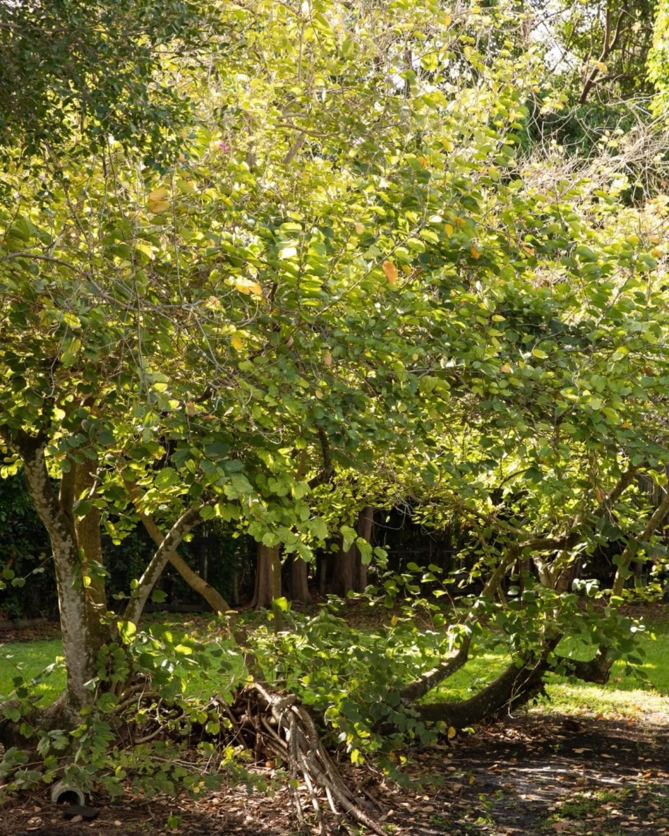 instagram gallery image