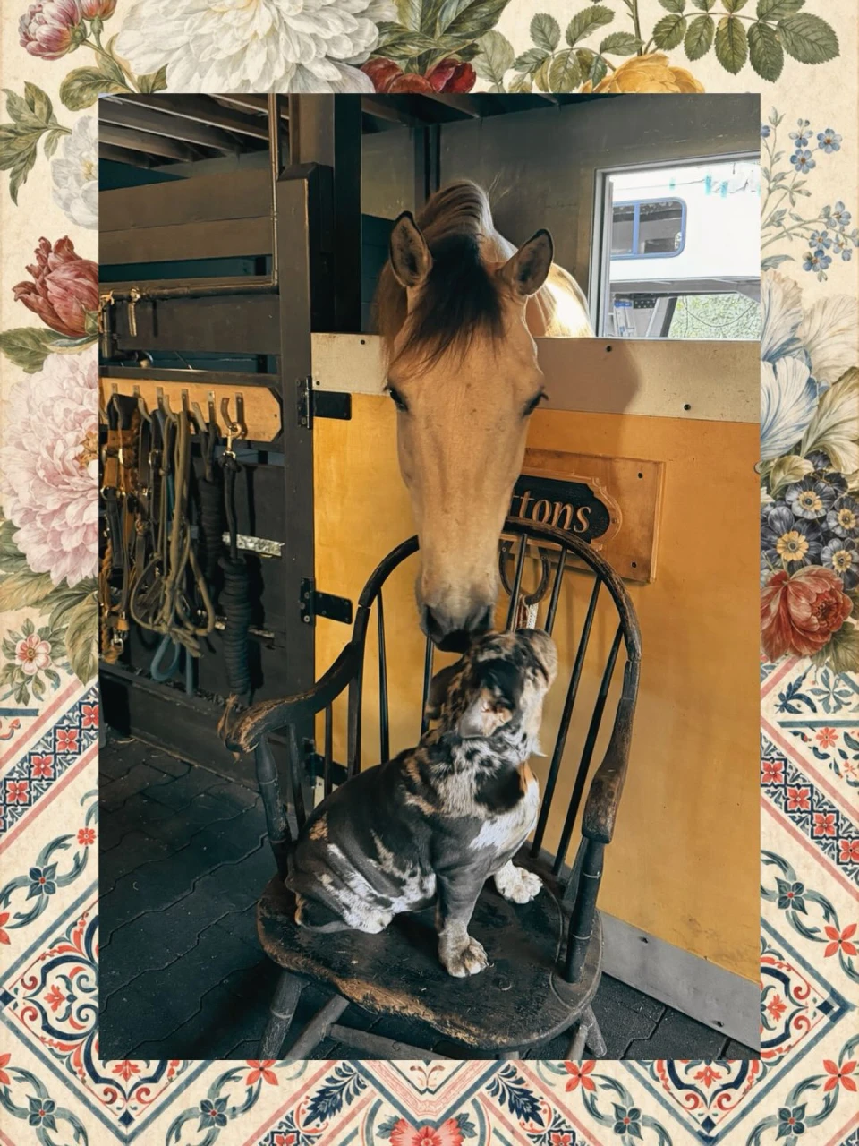 instagram gallery image