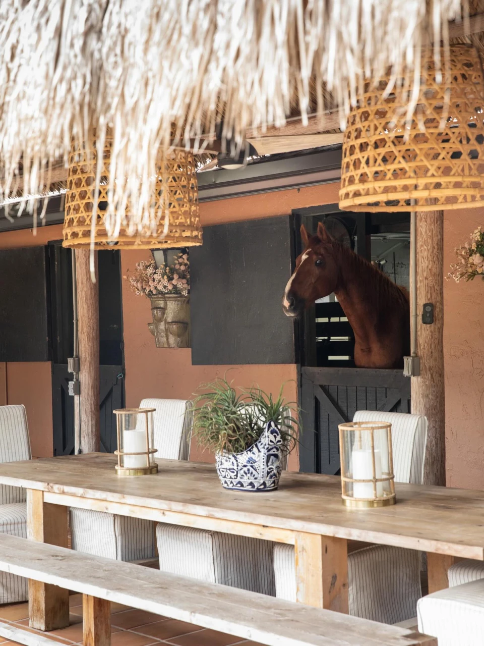 instagram gallery image