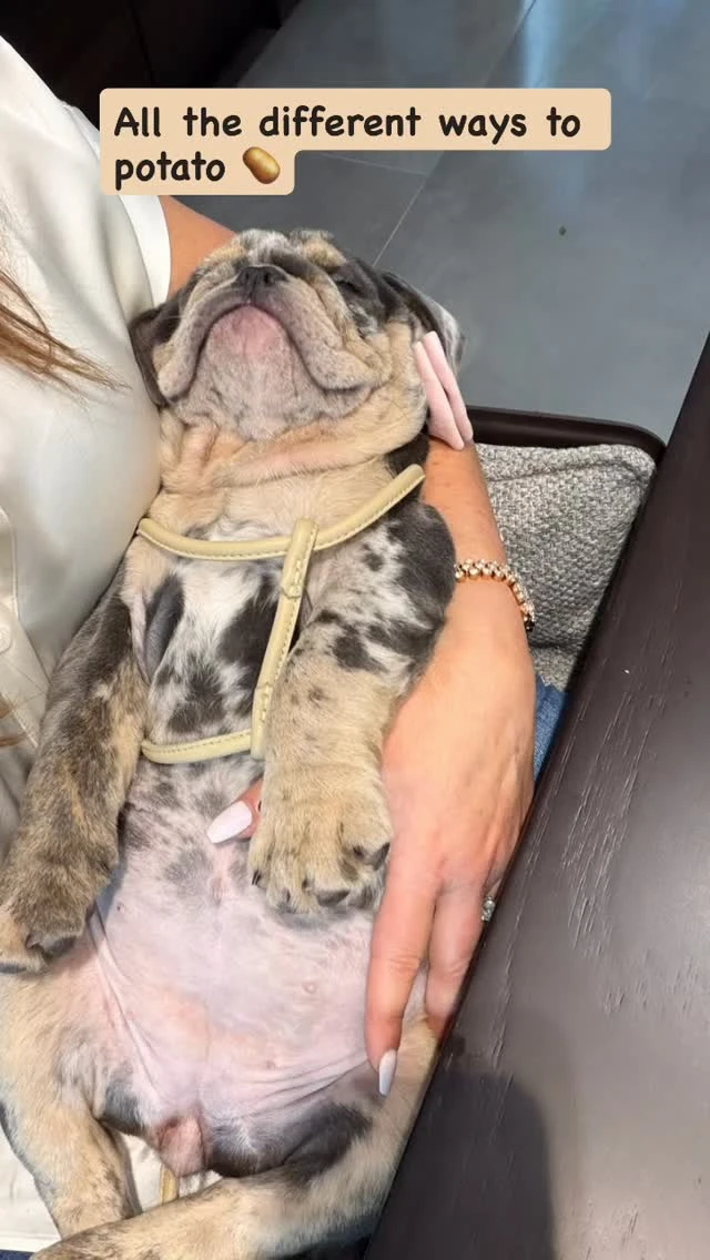 instagram gallery image