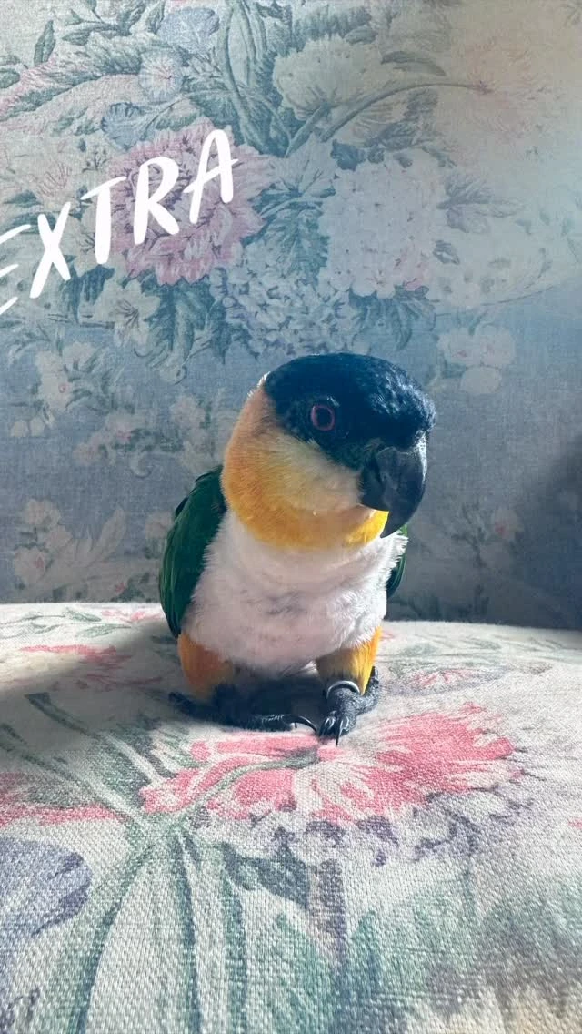 instagram gallery image