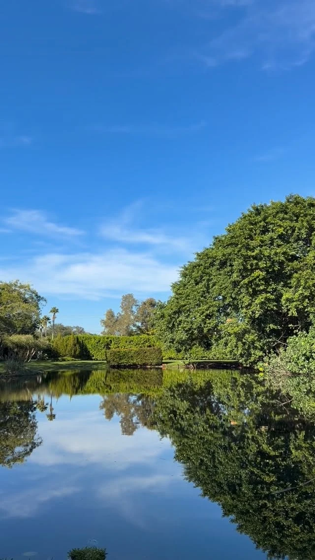 instagram gallery image