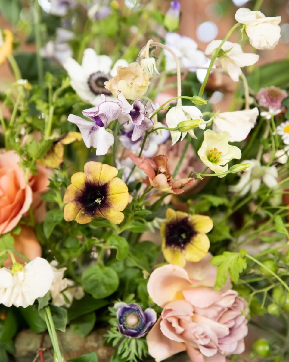 instagram gallery image