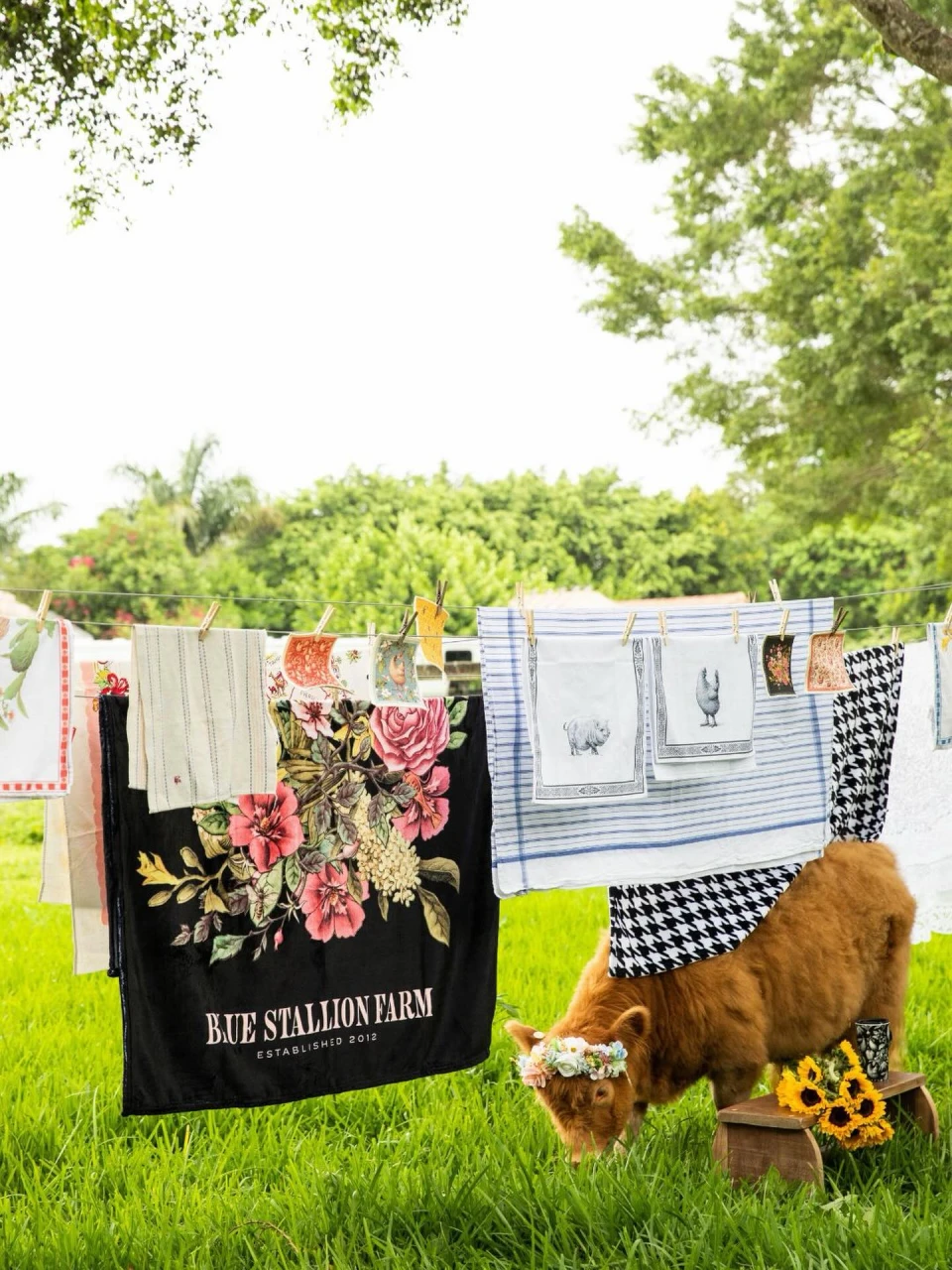 instagram gallery image