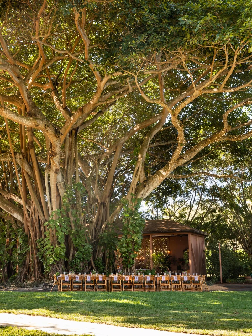 instagram gallery image