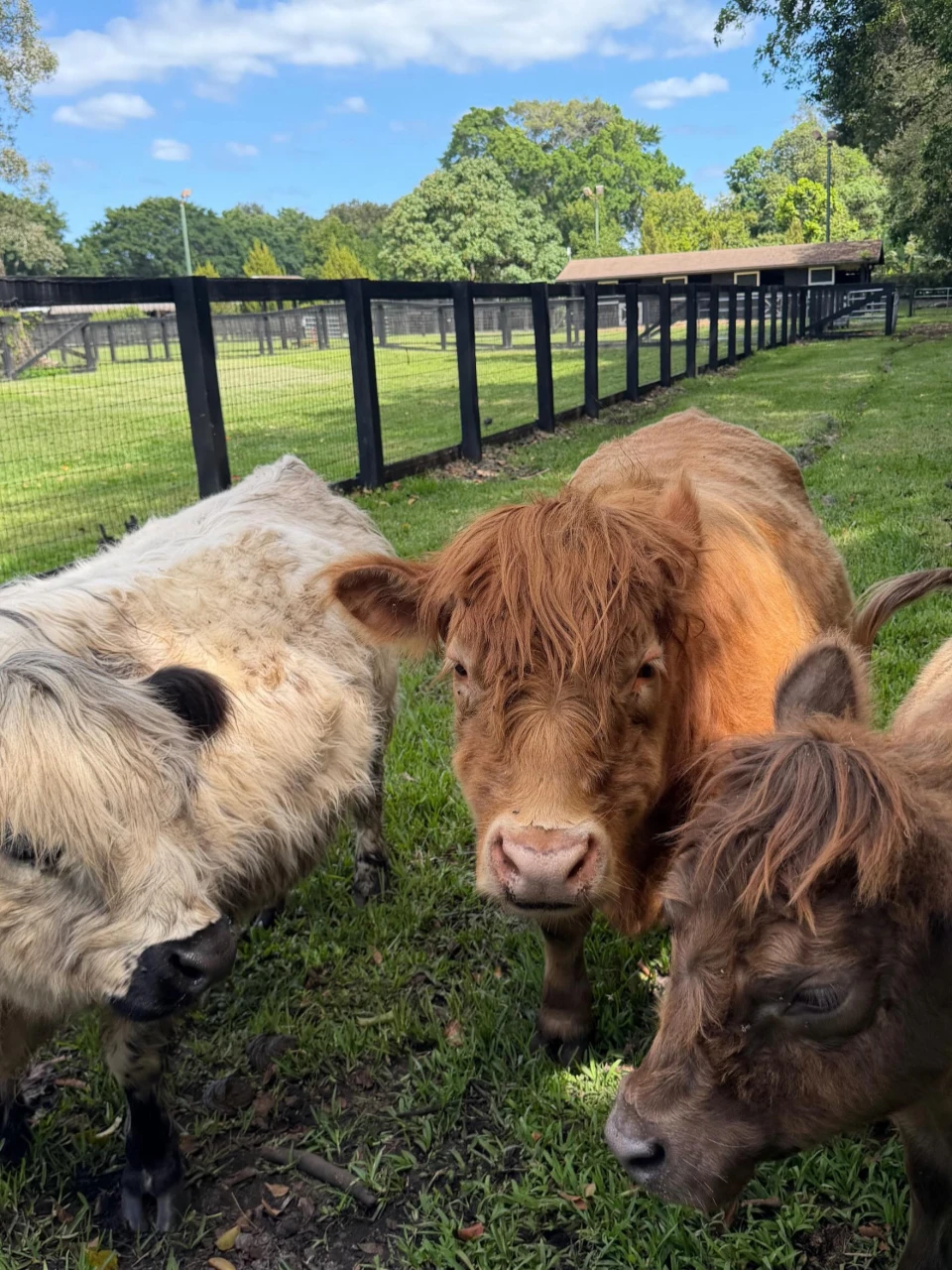 instagram gallery image