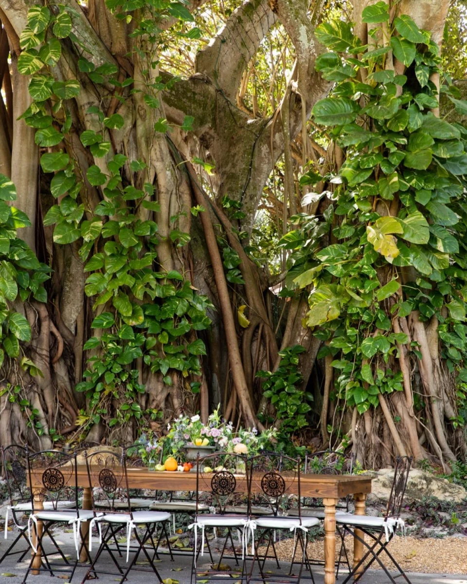 instagram gallery image