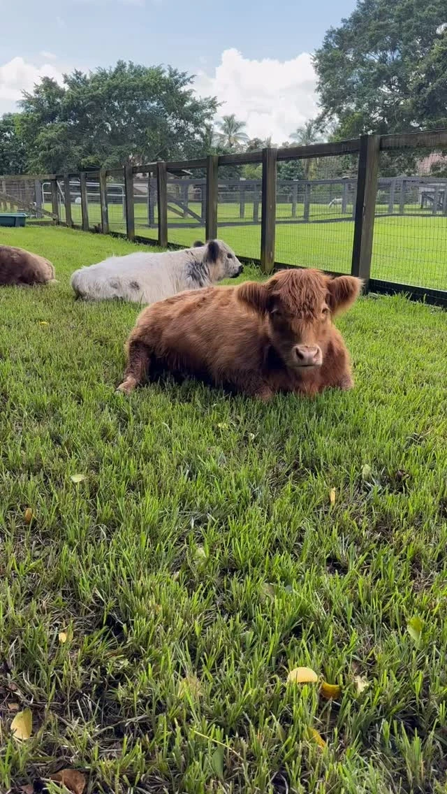 instagram gallery image