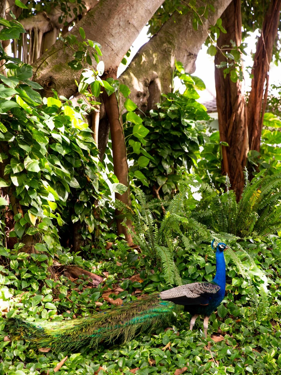 instagram gallery image