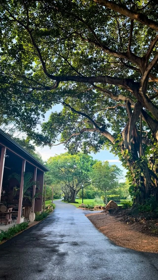 instagram gallery image