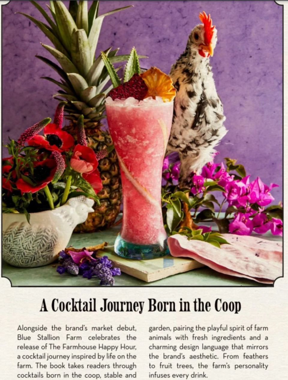 instagram gallery image