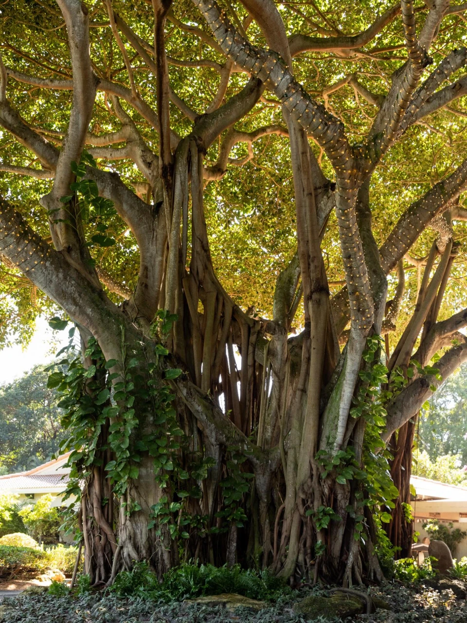 instagram gallery image